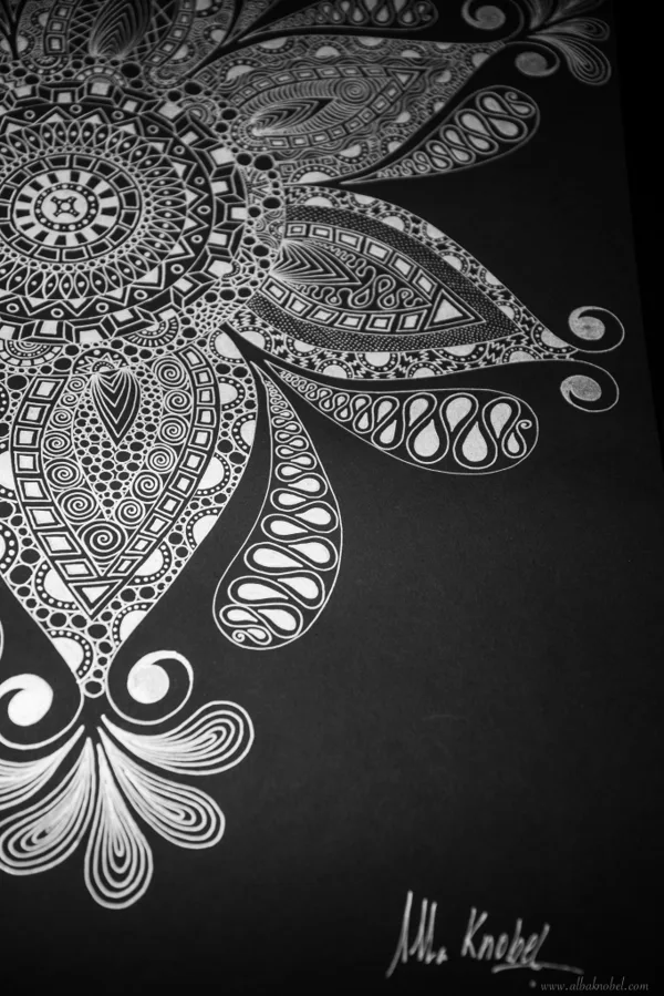 Blanco y Negro